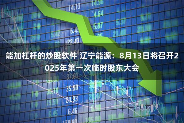 能加杠杆的炒股软件 辽宁能源：8月13日将召开2025年第一次临时股东大会